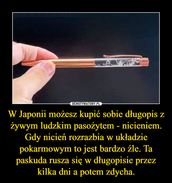 W Japonii możesz kupić sobie długopis z żywym ludzkim pasożytem - nicieniem. Gdy nicień rozrazbia w układzie pokarmowym to jest bardzo źle. Ta paskuda rusza się w długopisie przez kilka dni a potem zdycha. –  