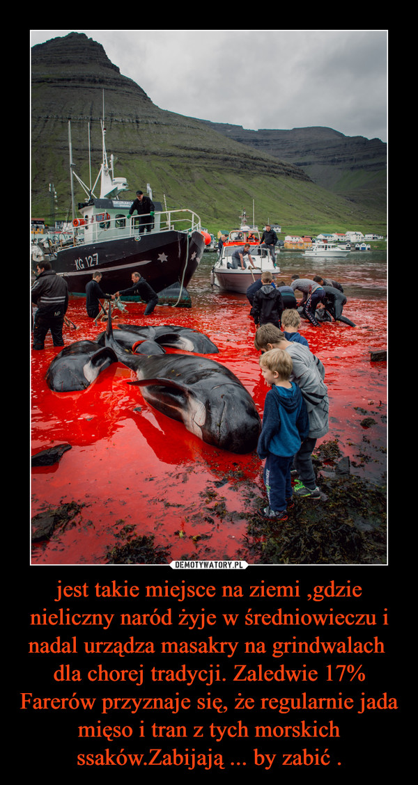 jest takie miejsce na ziemi ,gdzie nieliczny naród żyje w średniowieczu i nadal urządza masakry na grindwalach  dla chorej tradycji. Zaledwie 17% Farerów przyznaje się, że regularnie jada mięso i tran z tych morskich ssaków.Zabijają ... by zabić .