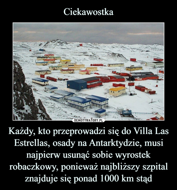Ciekawostka Każdy, kto przeprowadzi się do Villa Las Estrellas, osady na Antarktydzie, musi najpierw usunąć sobie wyrostek robaczkowy, ponieważ najbliższy szpital znajduje się ponad 1000 km stąd