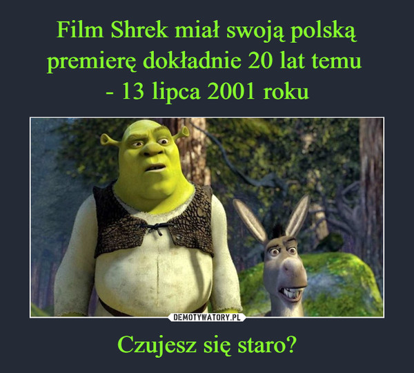 Film Shrek miał swoją polską premierę dokładnie 20 lat temu 
- 13 lipca 2001 roku Czujesz się staro?