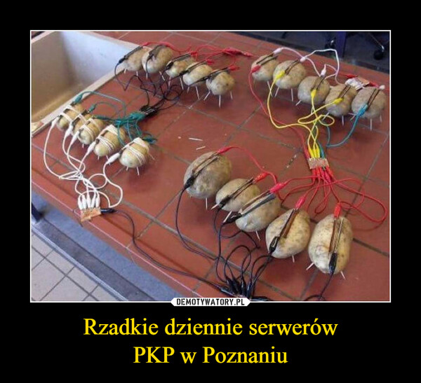 Rzadkie dziennie serwerówPKP w Poznaniu –  