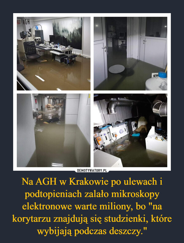 Na AGH w Krakowie po ulewach i podtopieniach zalało mikroskopy elektronowe warte miliony, bo "na korytarzu znajdują się studzienki, które wybijają podczas deszczy." –  