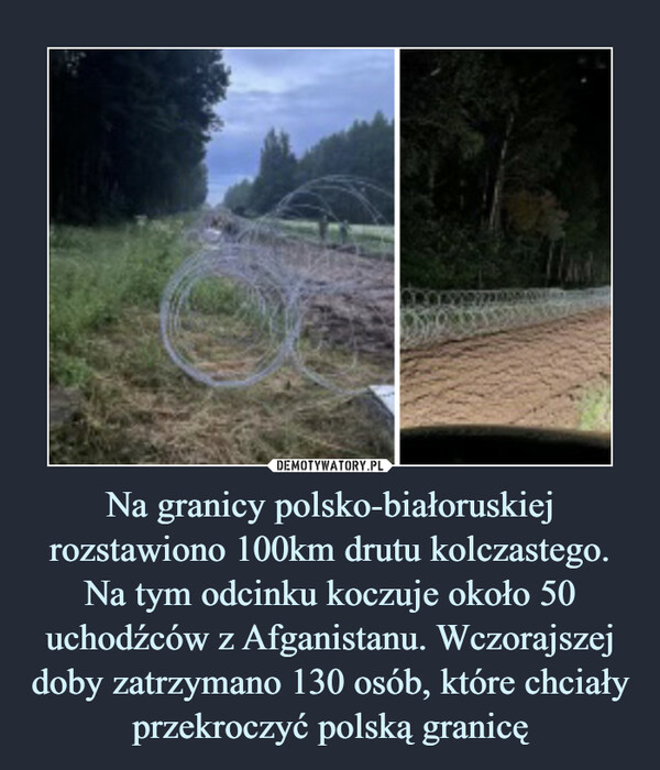 Na granicy polsko-białoruskiej rozstawiono 100km drutu kolczastego. Na tym odcinku koczuje około 50 uchodźców z Afganistanu. Wczorajszej doby zatrzymano 130 osób, które chciały przekroczyć polską granicę –  