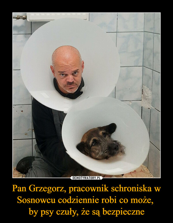 Pan Grzegorz, pracownik schroniska w Sosnowcu codziennie robi co może, by psy czuły, że są bezpieczne –  