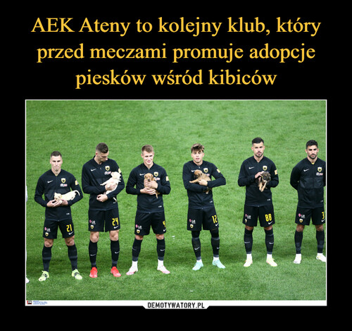 AEK Ateny to kolejny klub, który przed meczami promuje adopcje piesków wśród kibiców