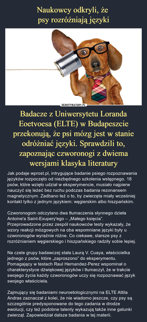 Naukowcy odkryli, że 
psy rozróżniają języki Badacze z Uniwersytetu Loranda Eoetvoesa (ELTE) w Budapeszcie przekonują, że psi mózg jest w stanie odróżniać języki. Sprawdzili to, zapoznając czworonogi z dwiema wersjami klasyka literatury