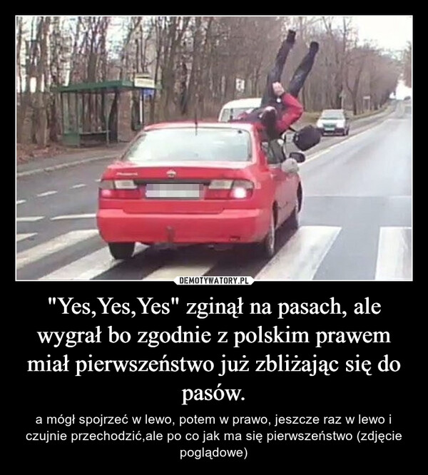 "Yes,Yes,Yes" zginął na pasach, ale wygrał bo zgodnie z polskim prawem miał pierwszeństwo już zbliżając się do pasów.