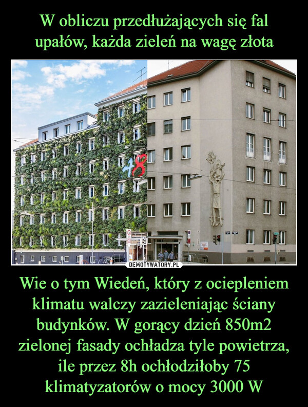 Wie o tym Wiedeń, który z ociepleniem klimatu walczy zazieleniając ściany budynków. W gorący dzień 850m2 zielonej fasady ochładza tyle powietrza, ile przez 8h ochłodziłoby 75 klimatyzatorów o mocy 3000 W –  