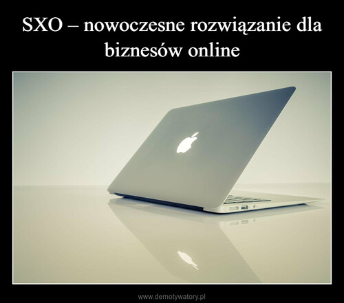 SXO – nowoczesne rozwiązanie dla biznesów online