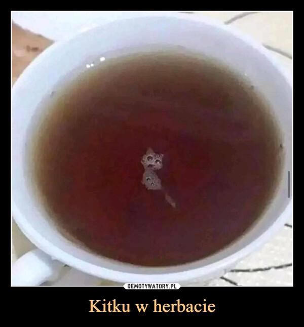 Kitku w herbacie –  