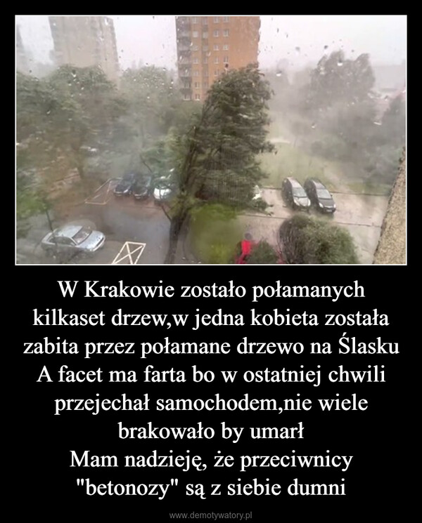 W Krakowie zostało połamanych kilkaset drzew,w jedna kobieta została zabita przez połamane drzewo na ŚlaskuA facet ma farta bo w ostatniej chwili przejechał samochodem,nie wiele brakowało by umarłMam nadzieję, że przeciwnicy "betonozy" są z siebie dumni –  