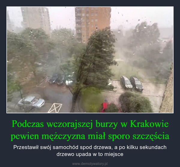 Podczas wczorajszej burzy w Krakowie pewien mężczyzna miał sporo szczęścia – Przestawił swój samochód spod drzewa, a po kilku sekundach drzewo upada w to miejsce 
