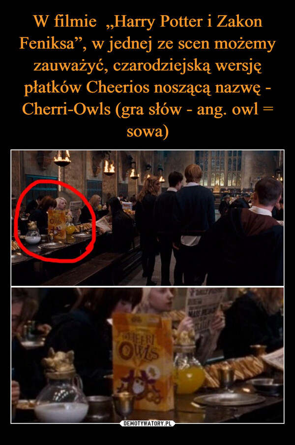 W filmie  „Harry Potter i Zakon Feniksa”, w jednej ze scen możemy zauważyć, czarodziejską wersję płatków Cheerios noszącą nazwę - Cherri-Owls (gra słów - ang. owl = sowa)