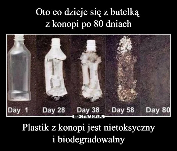 Oto co dzieje się z butelką 
z konopi po 80 dniach Plastik z konopi jest nietoksyczny
i biodegradowalny