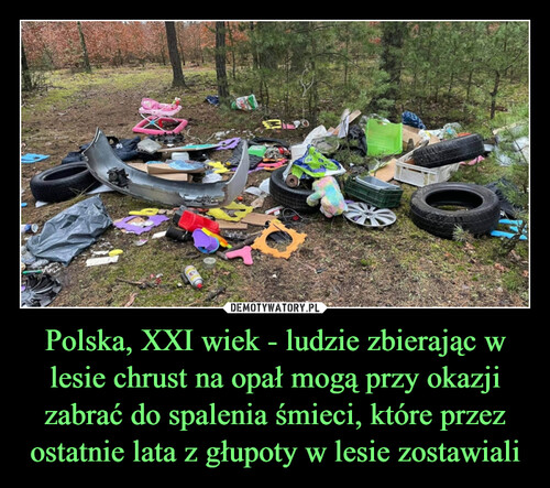 Polska, XXI wiek - ludzie zbierając w lesie chrust na opał mogą przy okazji zabrać do spalenia śmieci, które przez ostatnie lata z głupoty w lesie zostawiali