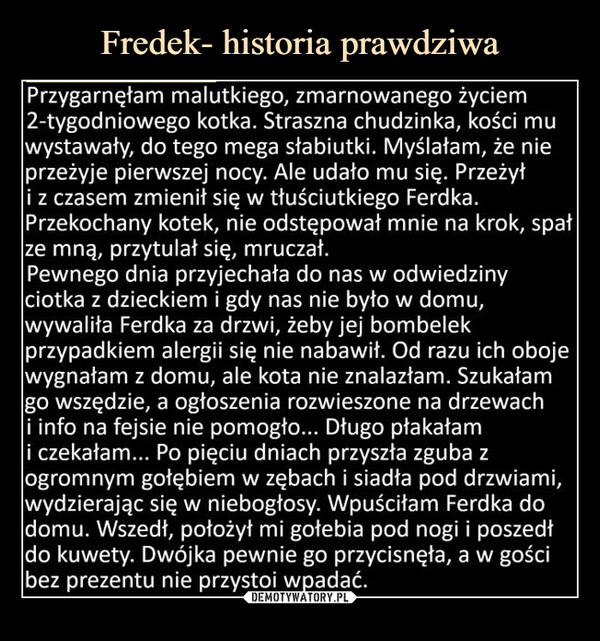 Fredek- historia prawdziwa