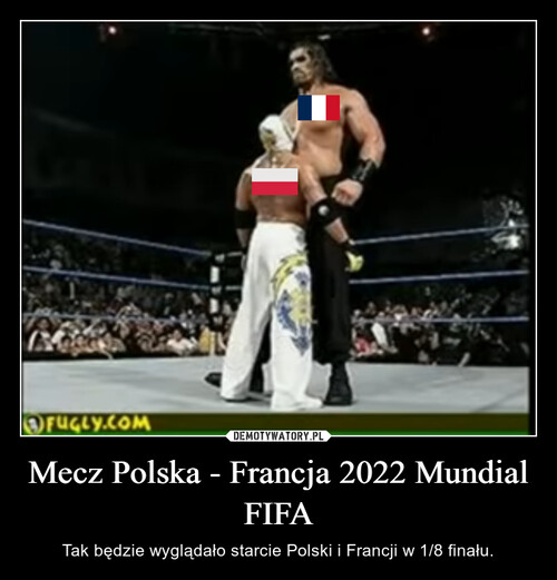 Mecz Polska - Francja 2022 Mundial FIFA