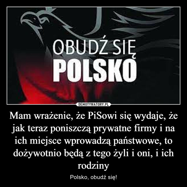 Mam wrażenie, że PiSowi się wydaje, że jak teraz poniszczą prywatne firmy i na ich miejsce wprowadzą państwowe, to dożywotnio będą z tego żyli i oni, i ich rodziny – Polsko, obudź się! 