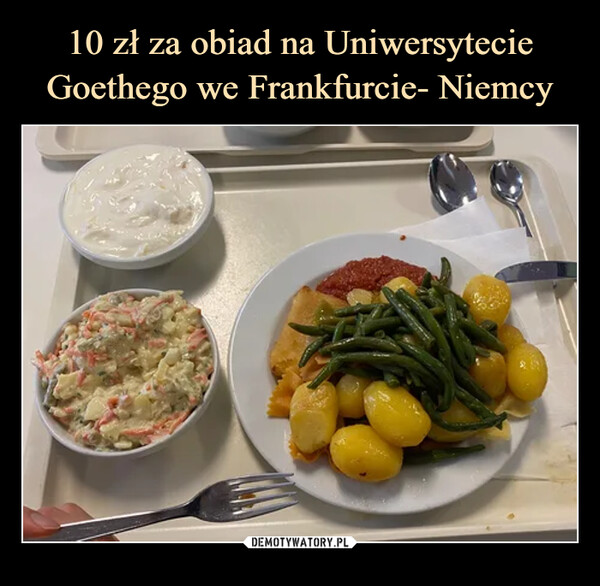 10 zł za obiad na Uniwersytecie Goethego we Frankfurcie- Niemcy