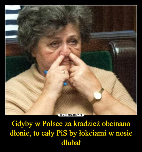 Gdyby w Polsce za kradzież obcinano dłonie, to cały PiS by łokciami w nosie dłubał –  