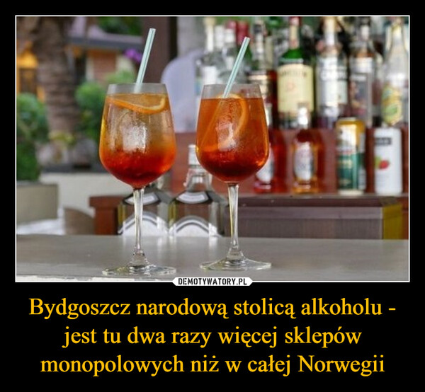 Bydgoszcz narodową stolicą alkoholu - jest tu dwa razy więcej sklepów monopolowych niż w całej Norwegii –  
