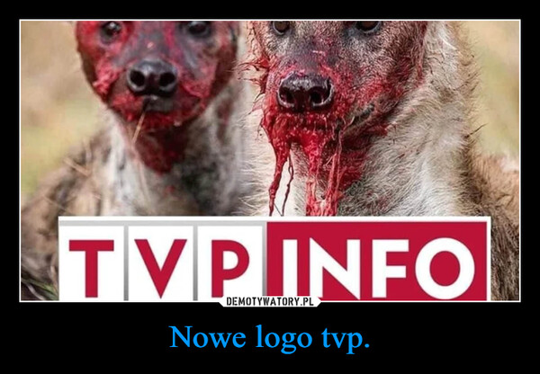 Nowe logo tvp. –  