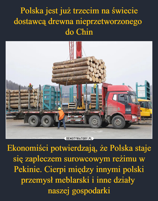 Polska jest już trzecim na świecie dostawcą drewna nieprzetworzonego 
do Chin Ekonomiści potwierdzają, że Polska staje się zapleczem surowcowym reżimu w Pekinie. Cierpi między innymi polski przemysł meblarski i inne działy 
naszej gospodarki