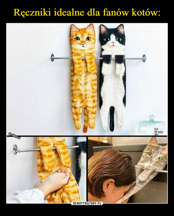 Ręczniki idealne dla fanów kotów: