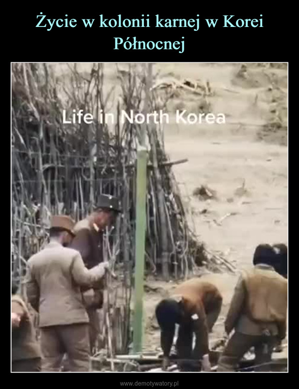  –  Life in North Korea
