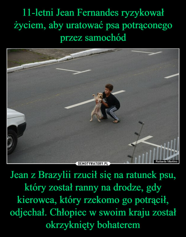 Jean z Brazylii rzucił się na ratunek psu, który został ranny na drodze, gdy kierowca, który rzekomo go potrącił, odjechał. Chłopiec w swoim kraju został okrzyknięty bohaterem –  Rafaela Martins