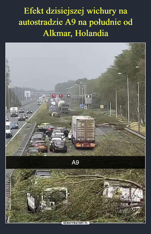 Efekt dzisiejszej wichury na autostradzie A9 na południe od Alkmar, Holandia