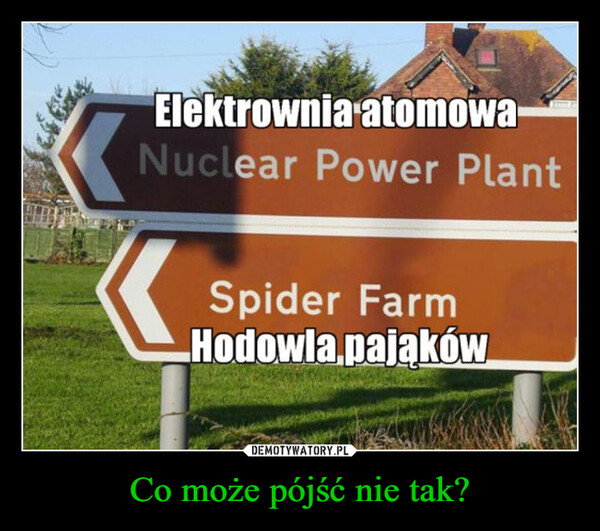 Co może pójść nie tak? –  Elektrownia atomowaNuclear Power PlantSpider FarmHodowla pająków