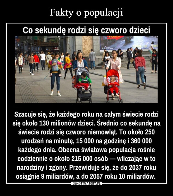 Fakty o populacji