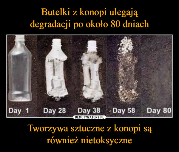 Butelki z konopi ulegają
degradacji po około 80 dniach Tworzywa sztuczne z konopi są
również nietoksyczne