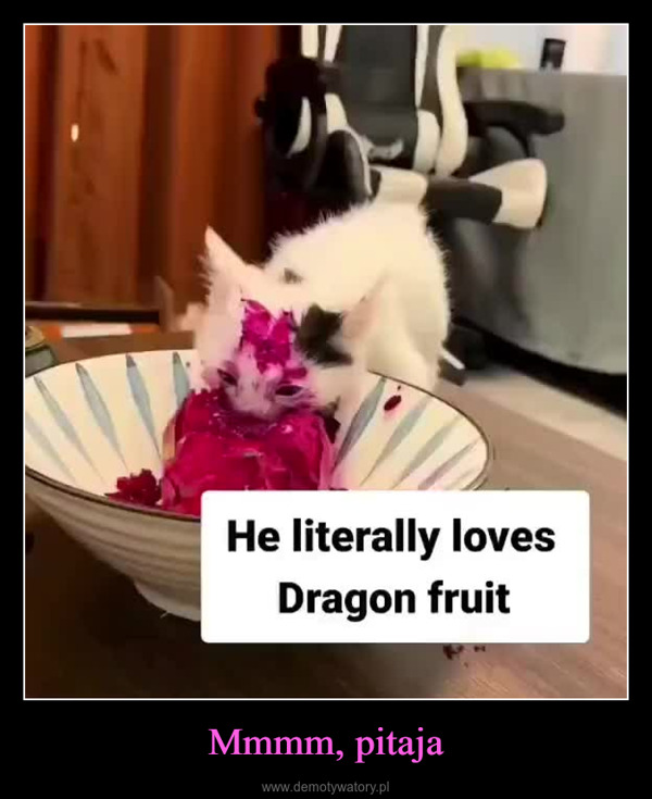 Mmmm, pitaja –  He literally lovesDragon fruit