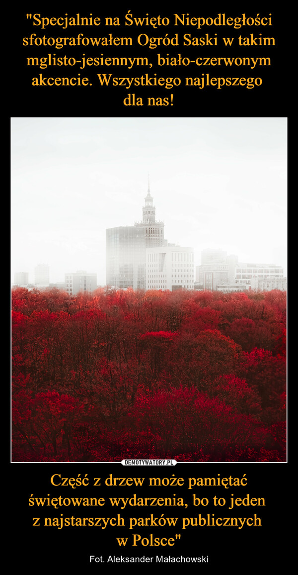 "Specjalnie na Święto Niepodległości sfotografowałem Ogród Saski w takim mglisto-jesiennym, biało-czerwonym akcencie. Wszystkiego najlepszego 
dla nas! Część z drzew może pamiętać świętowane wydarzenia, bo to jeden 
z najstarszych parków publicznych 
w Polsce"