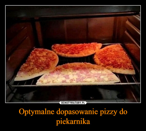Optymalne dopasowanie pizzy do piekarnika –  geniuses are often rejected bysociety