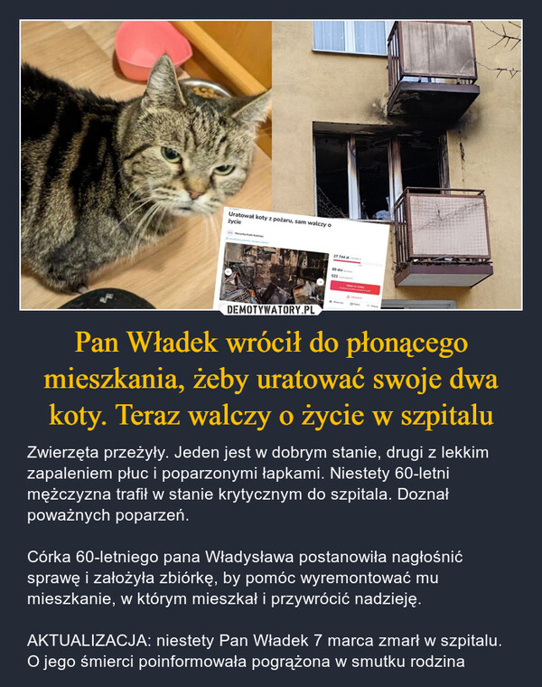 Pan Władek wrócił do płonącego mieszkania, żeby uratować swoje dwa koty. Teraz walczy o życie w szpitalu