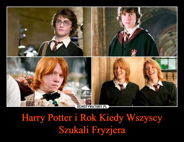 Harry Potter i Rok Kiedy Wszyscy Szukali Fryzjera