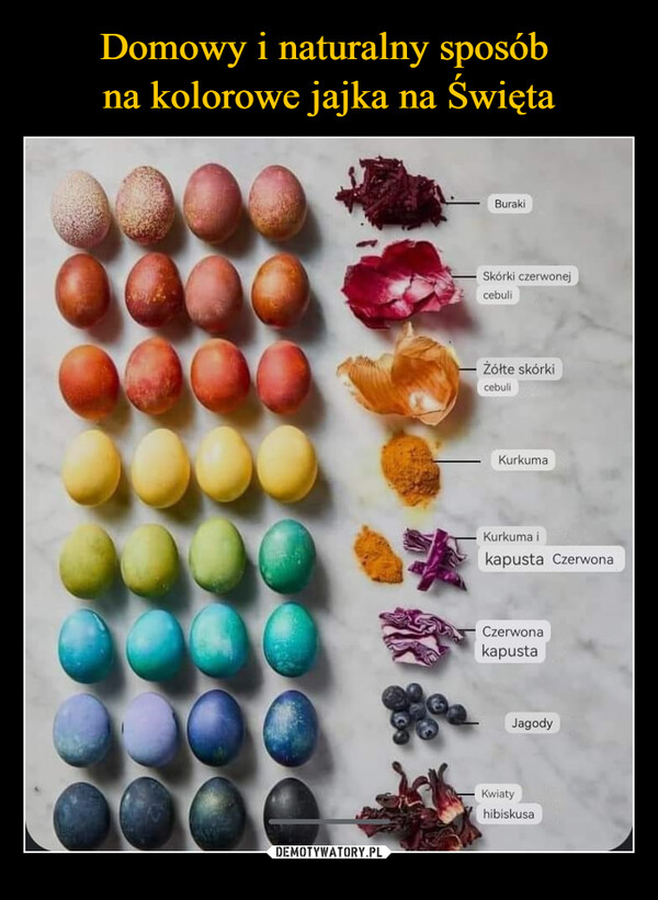 Domowy i naturalny sposób 
na kolorowe jajka na Święta